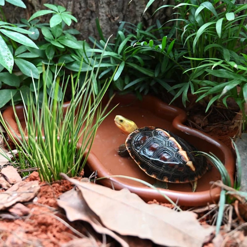 Flushbay Extra Large Reptile Bathing Pool Reptile Feeding Dish Water Bowl with Ramp Aquarium Ornament for Gecko, Snake, Turtle, Bearded Dragon, Lizard Bath (Brown) - Image 5
